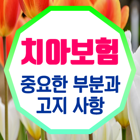  40대치아보험 고지사항 및 중요하게 살펴볼 부분