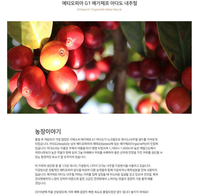  싼톡 : 11/30 오늘의 스팸 문자