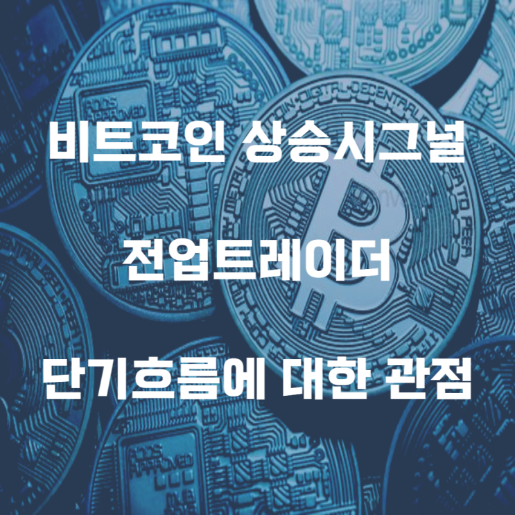  11월 26일 비트코인 차트분석 상승다이버전스 발생 단기흐름에 대한 의견