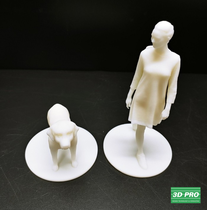 3D 프린터로 피규어 출력물 제작/3D 프린터 시제품 출력/대학생 졸업작품/SLA 레이저 방식/ABS Like 레진 소재/쓰리디프로/3D프로/3DPRO