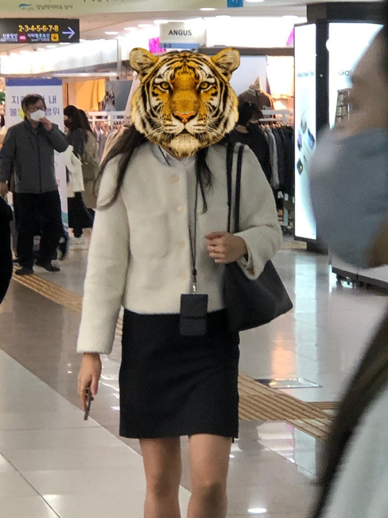 11월 넷째주 일기 : 네이버 블로그