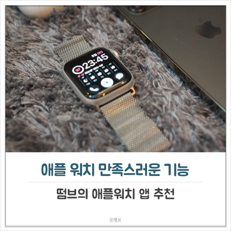  애플워치 SE 1주일 사용하며 만족하는 기능들 순위