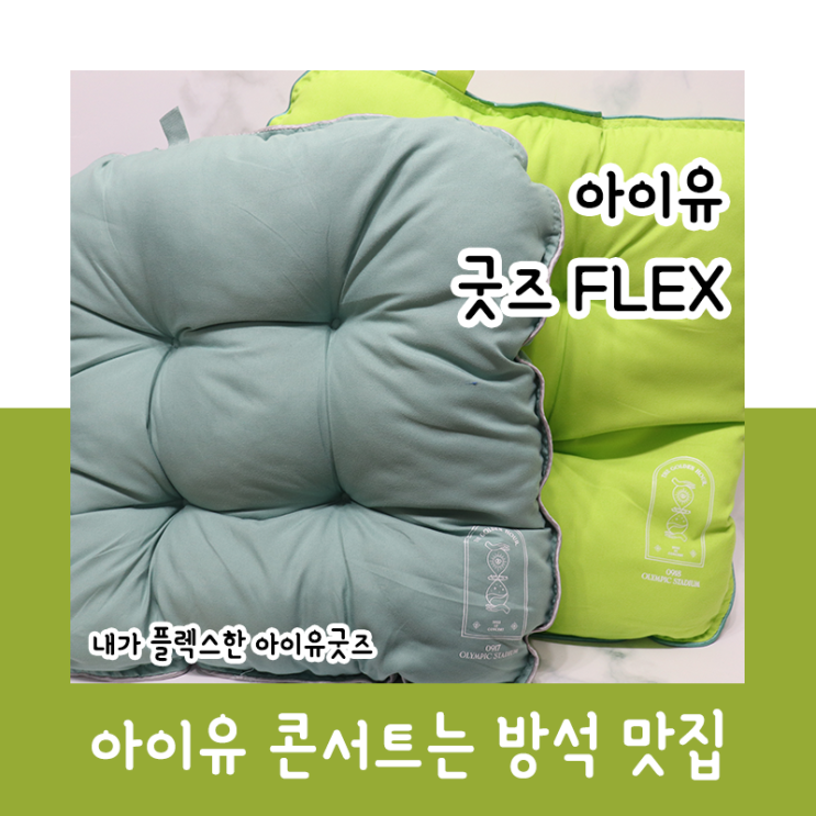  아이유 굿즈 FLEX_아이유 콘서트는 방석 맛집입니다