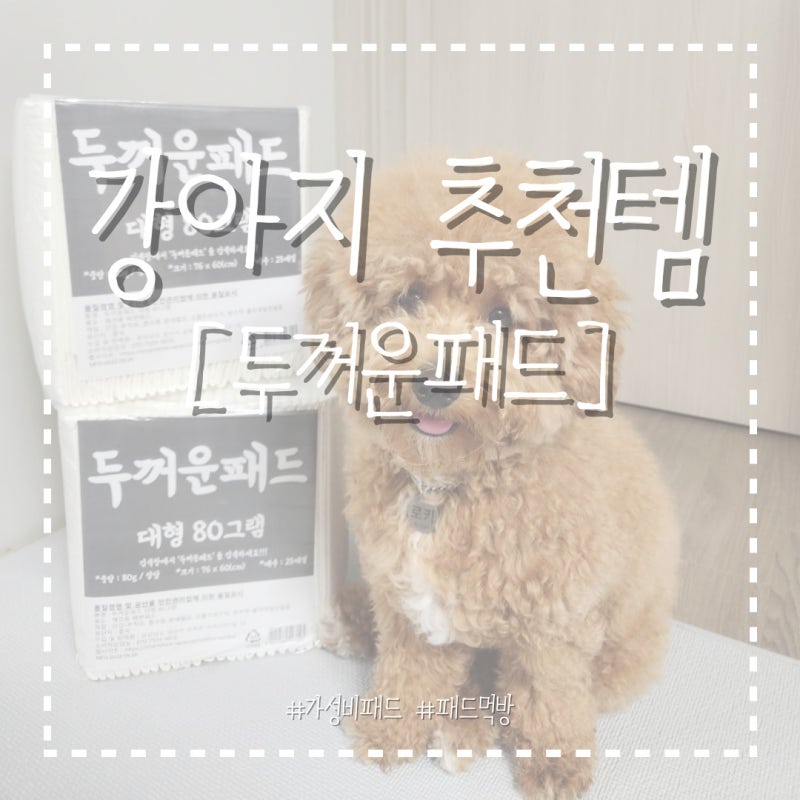 가성비 넘치는 강아지 배변패드 두꺼운 패드