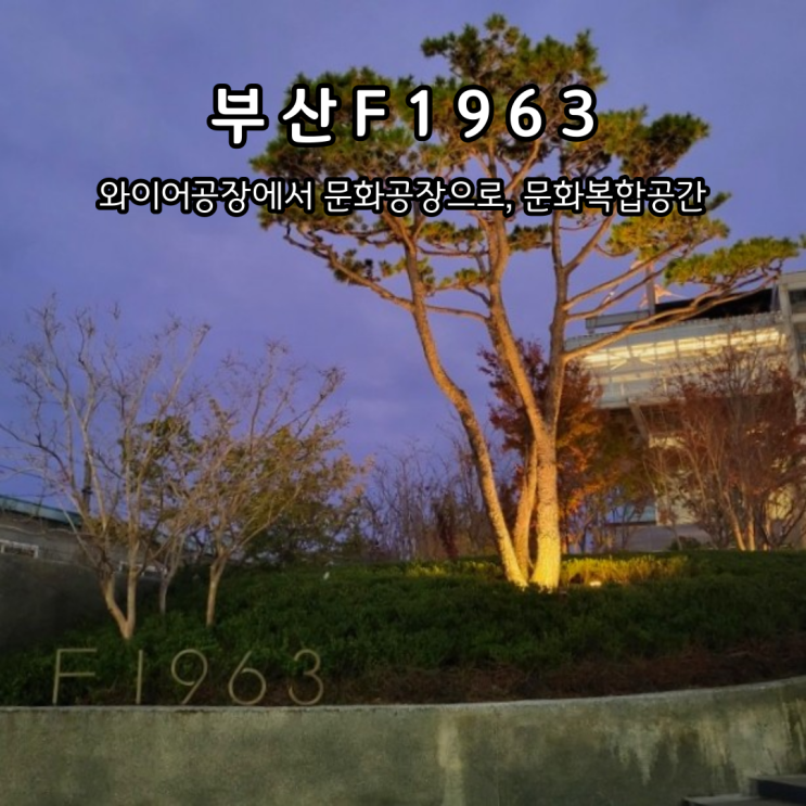  부산 비오는 날 복합문화공간 F1963 YES24 중고서점