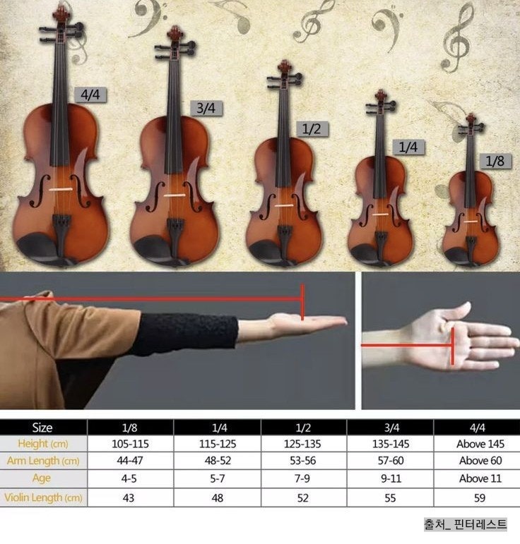 수제 바이올린 고르는법, 바이올린 풀 사이즈 소장용 구입(구매) 팁! 가격, 브랜드