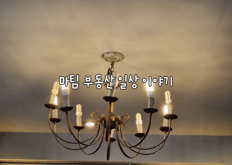  마오 청담동점