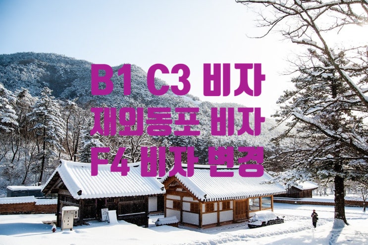 B1(K-ETA)입국_F4비자(재외동포)변경_국적상실신고 후 F4비자 취득이 궁금해요 (미국_캐나다_러시아_일본_중국_몽골 등) B1(K-ETA)입국_F4비자(재외동포)변경_국적상실신고 후 F4비자 취득이 궁금해요 (미국_캐나다_러시아_일본_중국_몽골 등)