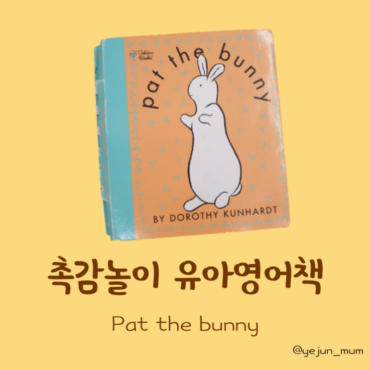  Pat the bunny, 촉감 놀이 유아영어책 추천