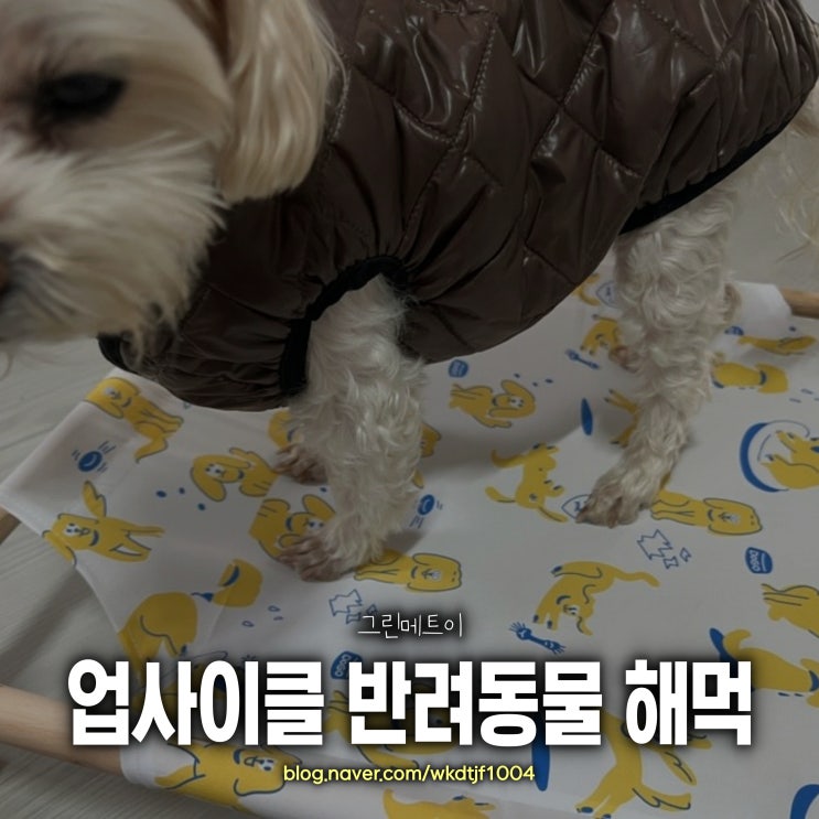  업사이클 강아지해먹, 반려동물 용품도 이제 업사이클 제품으로~