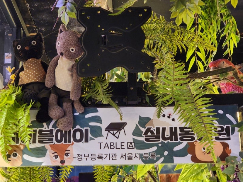 홍대 테이블에이 실내 동물원 겨울에 즐기는 이색적인 실내 데이트 : 네이버 블로그 홍대 테이블에이 실내 동물원 겨울에 즐기는 이색적인 실내 데이트 : 네이버 블로그
