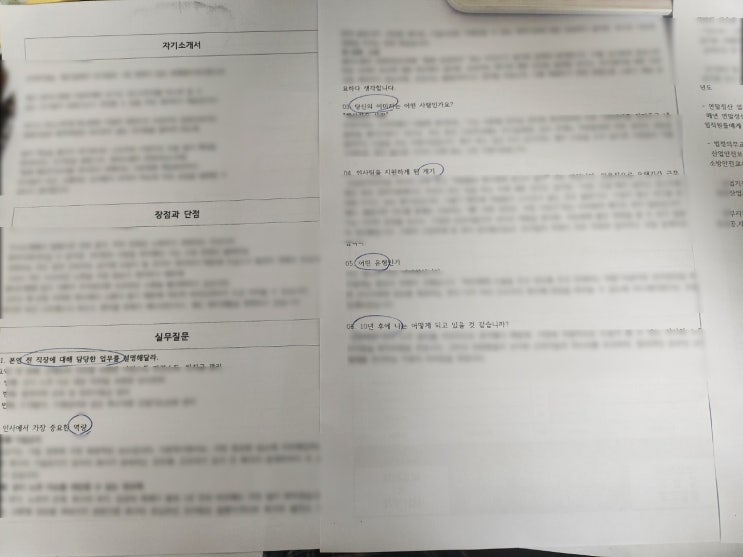  [지인의 면접 후기] 나 내일 면접이야, 도와줘 "응?"