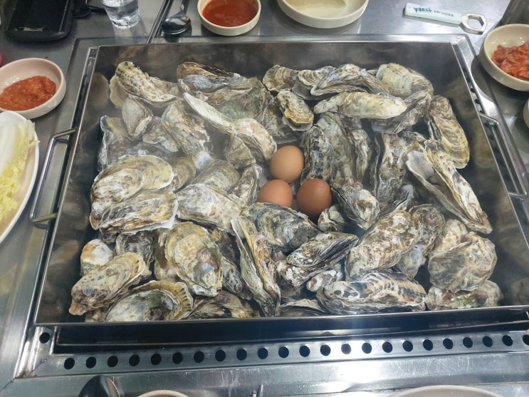  서울 화곡동 굴찜 맛집 <굴사냥화곡본동점> 겨울 제철인 굴