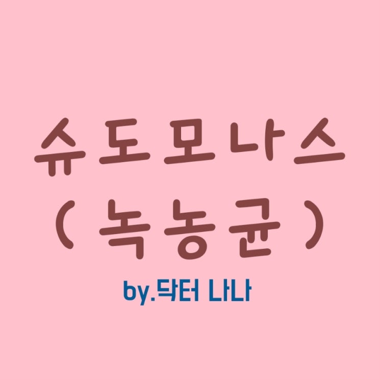  슈도모나스 증상 및 치료(녹농균)