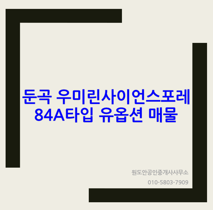  우미린사이언스포레 84A 유옵션 매물