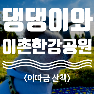  댕댕이와 보낸 시간 문득 그리워서 (이촌한강공원, 독서)