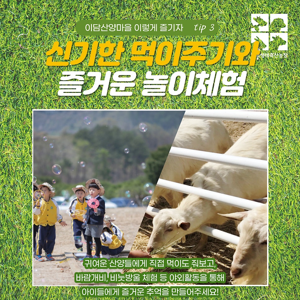 이담산양마을 사진 5