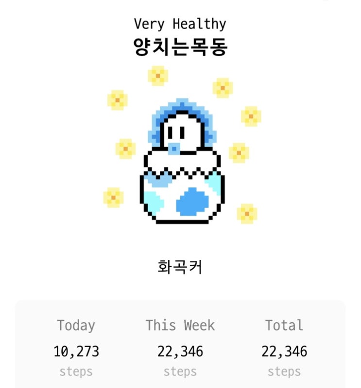  아이폰 이용자라면, '찰리와 걷기' 앱으로 함께 걸어요!!