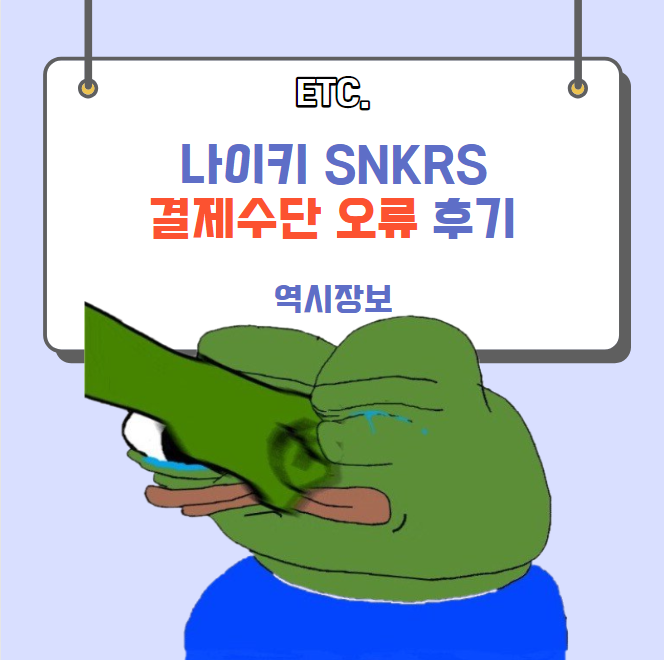  나이키 SNKRS 드로우 결제수단 오류 후기