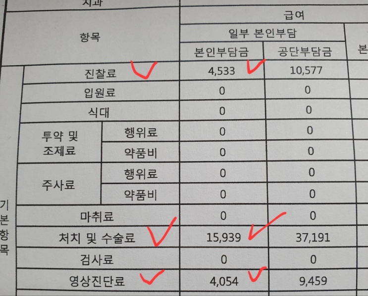  치과 스케일링, 잇몸치료 후기 - 원리, 비용, 통증, 대상, 주기