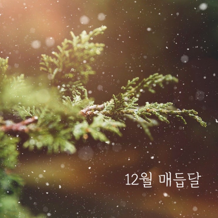  안녕, 매듭달