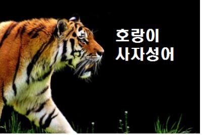  호랑이 사자성어