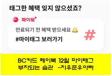 페이북 12월 마이태그 BC카드 총정리 페이북 12월 마이태그 BC카드 총정리