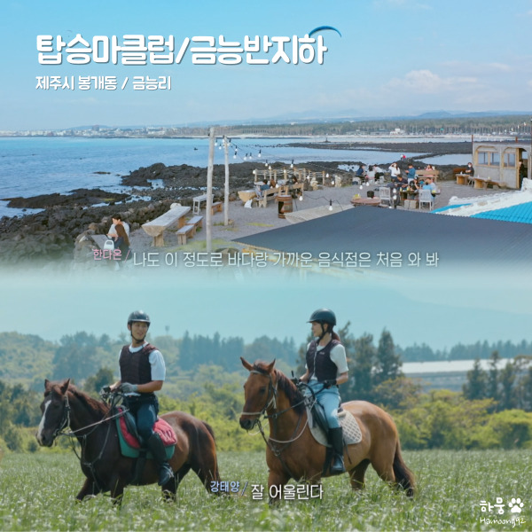  핑크라이 10화 다온 태양 제주도 여행지 TOP승마클럽/금능반지하