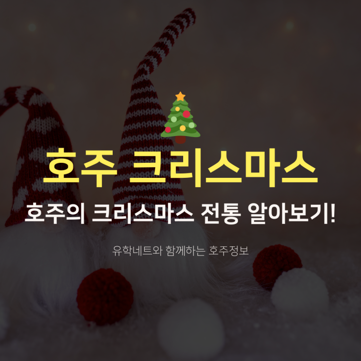  호주 크리스마스 전통에는 어떤 것들이 있을까요? (유학네트 멜버른)