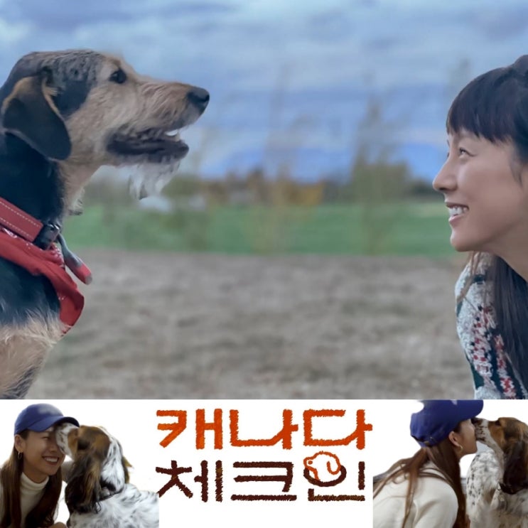 캐나다 체크인 출연진 및 기본정보 이효리 김태호PD tvN신규예능