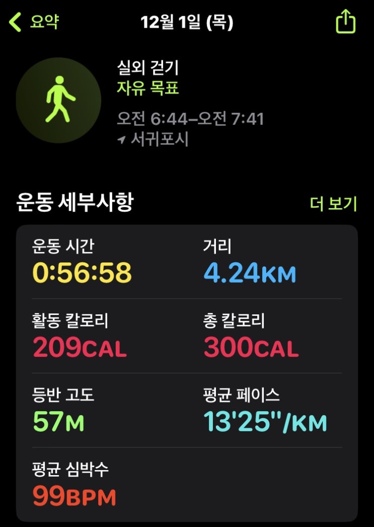  42일차, 아름다운 섬 제주