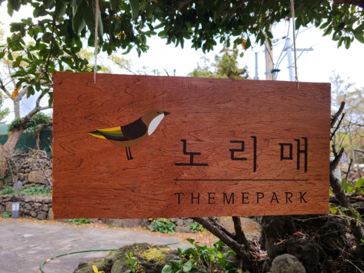  제주 신화월드 근처 노리매 테마공원 산책좋다