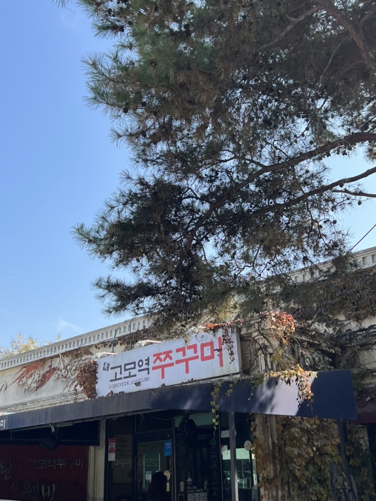  대구 고모역 쭈꾸미 솔직 후기