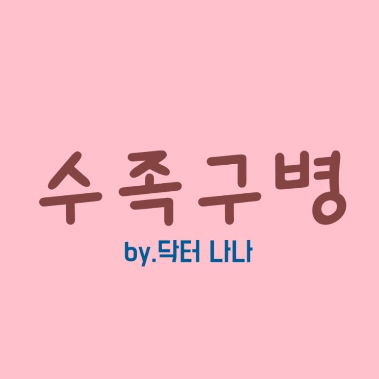  수족구병 증상 및 치료