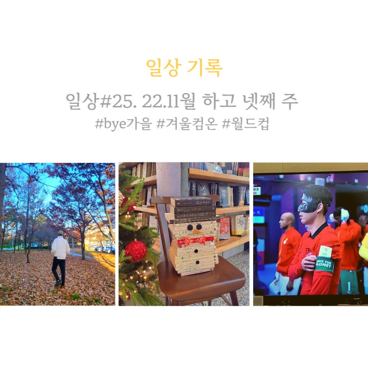  일상#25. 11월의 끝, 가을 가고 겨울 어서오고. 월드컵 시작.