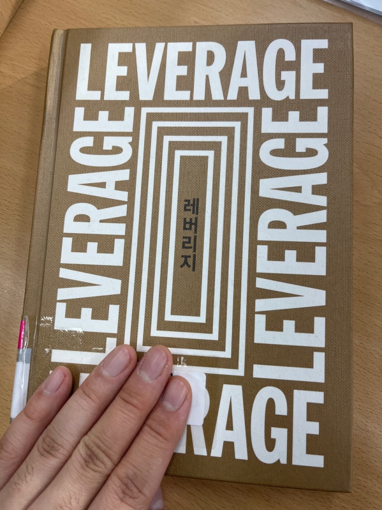 레버리지 '가치 창출을 위한 규모와 속도의 법칙' / 롭무어 레버리지 '가치 창출을 위한 규모와 속도의 법칙' / 롭무어