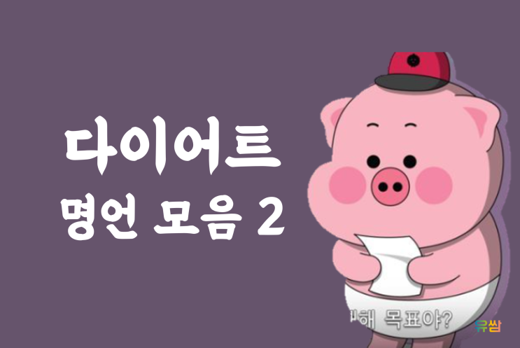  웃긴 다이어트 명언 2 - 다이어트는 내일부터 해야 존나 열정적으로 할 수 있을 것 같다.