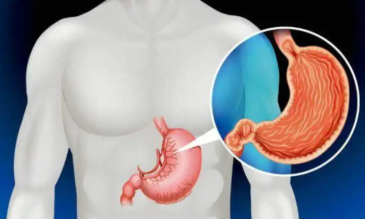 인체 장기 위치 및 기능 모두 알아보자. : 네이버 블로그