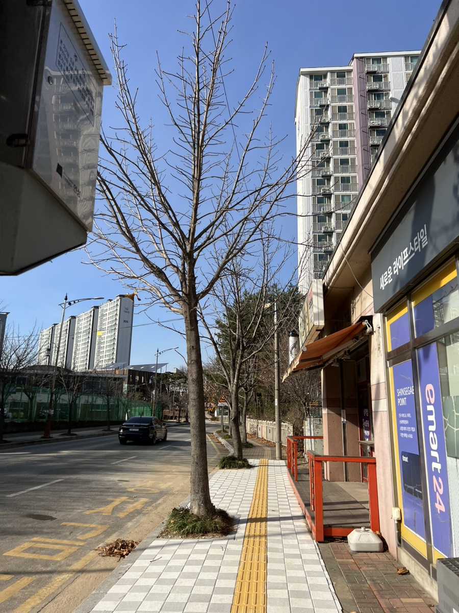 리시오카페 2호점 사진 5
