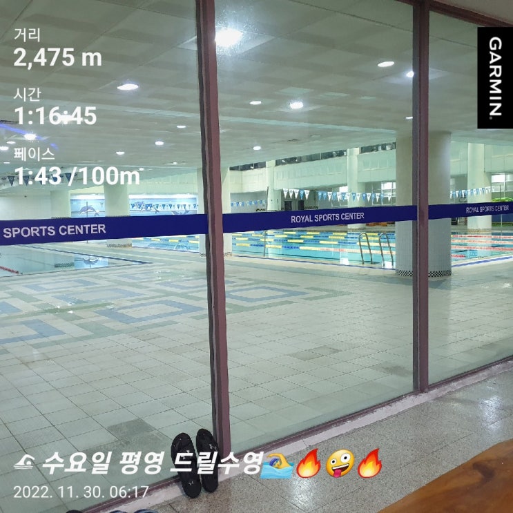 [수영일기] 11월 5주차 배영을 더 잘하고 싶다!