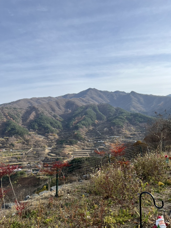  함양 지리산 산청 펜션) 불멍 가능한 마운틴뷰 반디스테이 해돋이룸