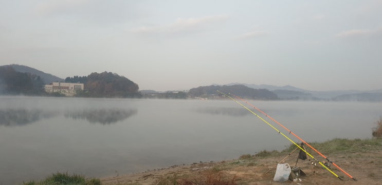  여주 이포보 노지 여행 (캠낚 차박 하기)