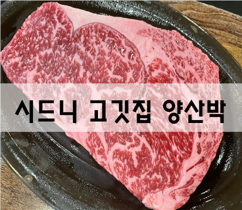  시드니맛집 Korean BBQ 시드니고깃집 '양산박'[호주여행]