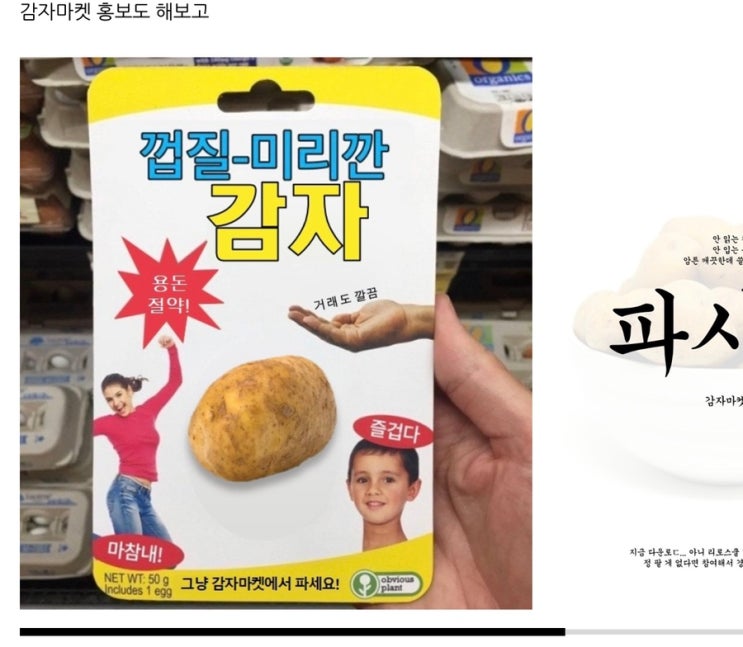  한민고 학술제 기록 - (1)