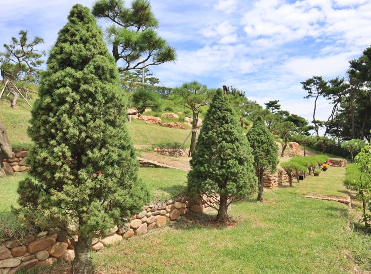  용인자연장 비용과 장점 상세히