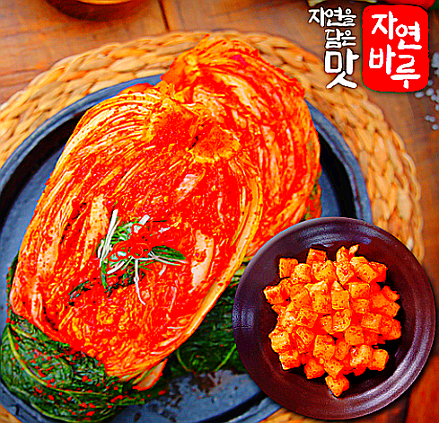  대안스님 자연바루 자연담은 배추김치 깍두기