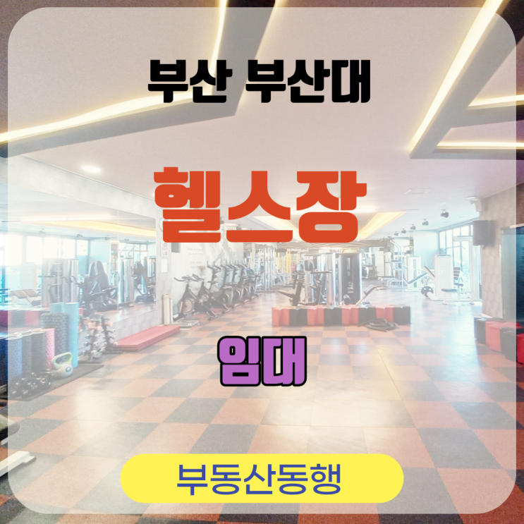 부산 양도양수 / 부산대 헬스장 상가 매물, 양도 양수 할때도 부동산 동행!