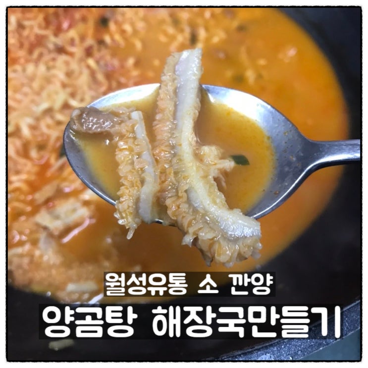  월성유통 소깐양 초간단 양곰탕 내장탕 해장국만들기