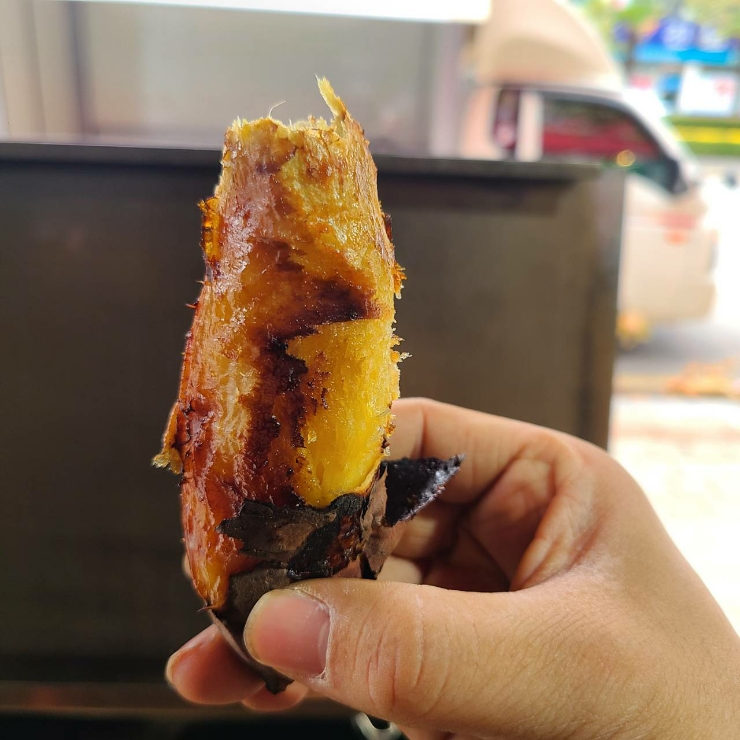  겨울이 왔네요! 최애 간식 군고구마 드셔보실래요?