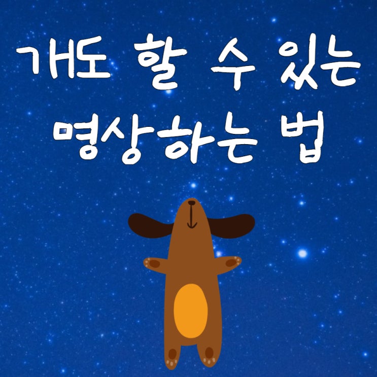  개도 할 수있는 명상하는 법 , 성공을 쟁취하는 파워 실전 명상